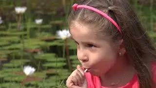 Toddler Girl With Lollipop