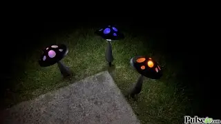 Solar Powered Mushroom Landscape Light w/ Color Changing Effect by iZoom