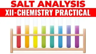 XII-Chemistry Practical (Complete Guidelines)