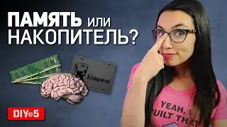 Оперативная память или накопитель? Как выбрать новичку