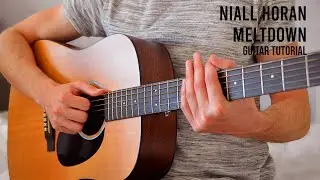 Niall Horan - Meltdown EASY Guitar Tutorial With Chords / Lyrics