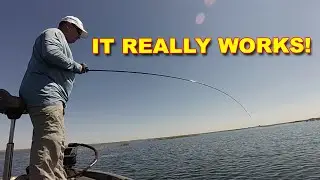 Ultimate Guide to Bass Fishing Equipment for the Texas Rig | Bass Fishing