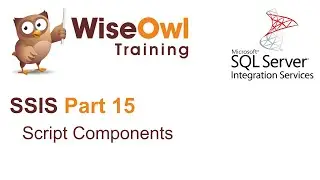 SQL Server Integration Services (SSIS) Part 15 - Script Components