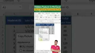 #111 | Ms Excel Hidden Trick | Very Useful Trick | #picture #msexcel