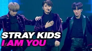 [4K] STRAY KIDS - I am YOU