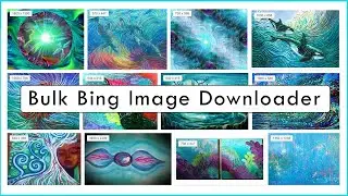 Bulk Bing Image Downloader