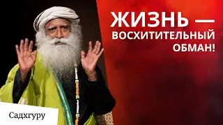 Как выйти из главной ловушки жизни?