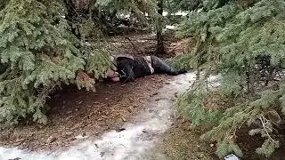 Случай в Минске.