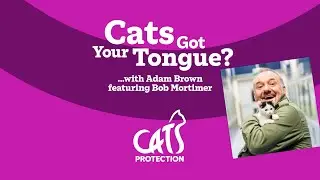 Cats Got Your Tongue? podcast with Bob Mortimer 🐱🎙️ Voices for your cat