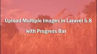 Upload Multiple Images in Laravel 5.8 with Progress Bar