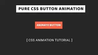 Pure CSS Button Hover Animation | CSS Animation Tutorial