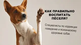 #79 - СКРЫТЫЕ ЛИЦА - БЕСЕДЫ - О собаках 
