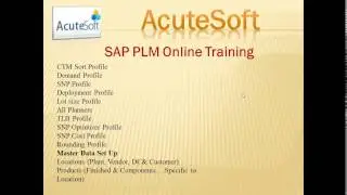 SAP PLM Online Training