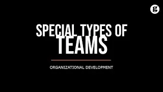 Special Types of Teams