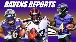 Baltimore Ravens Wide Receivers HEATING UP...