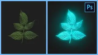 How to Make a Neon Light Effect in Photoshop | Neon Glowing flower | Adobe Creative Cloud