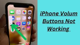 Volume Button don't Work while using WhatsApp on iPhone and iPad