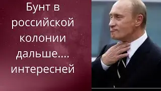 😱🤥 Бунт в российской колонии....👆 дальше интересней❗❗❓   Елена Бюн