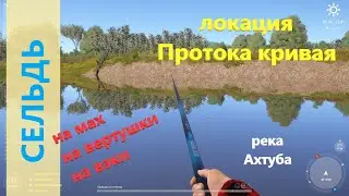 Русская рыбалка 4 - река Ахтуба - Сельдь на разные снасти
