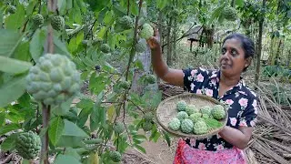 Custard Apples 🍎 This is how I use it to make this apple dessert dish. .village kitchen recipe