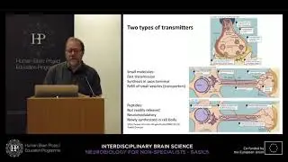 Lecture 1: Christoph Schwarzer - Intercellular signal transduction