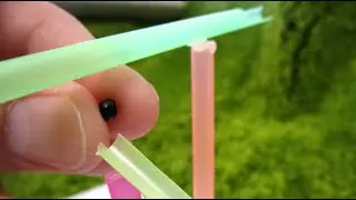 The Smallest Marble Run Race in the World