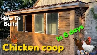 Chicken coop in 6 days