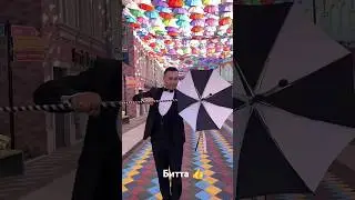ФОКУС ЯНГИСИ DIMAG.ME