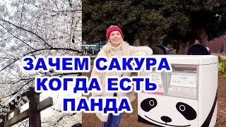 Сакура или Панда? Прогулки по Токио с Вероникой Номура ( 2019| 4K )