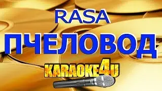 RASA | Пчеловод | Кавер минус