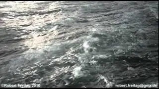 finalRender Ocean Shader test