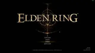 [Solved on description] Inappropriate activity detected Elden Ring