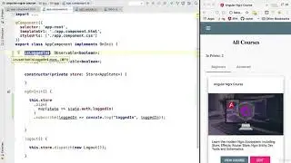 13  How To Access and Use the NgRx Store Data