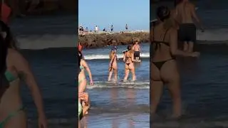 🇦🇷 Mar del Plate Beach Beast