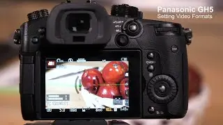 Lumix Academy GH5 | Setting Video Formats