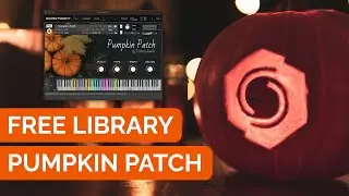 Pumpkin Patch | Free Kontakt 6 Patch