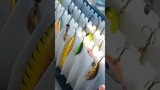 Прикольный бокс для приманок.