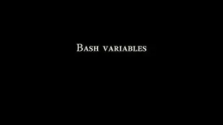 Bash variables