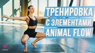 Функциональная тренировка с элементами animal flow