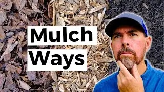 Choosing The Best Garden Mulch For Vegetables