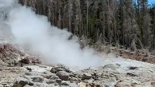 Yellowstone Geiser