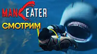 Обзор Maneater прохождение на русском Игра про Акулу на ПК 2020