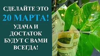 РИТУАЛ НА УДАЧУ И ДОСТАТОК В ДЕНЬ ВЕСЕННЕГО РАВНОДЕНСТВИЯ 20 МАРТА. Карина Таро