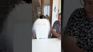 Gelin kaynana arasında olur böyle şeyler 😂