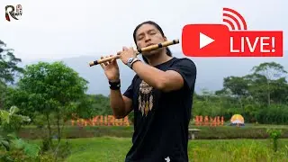 Live Music From Beautiful Amazon Nature For Relax And Dance