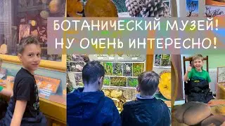 ПРОВЕЛИ ЦЕЛЫЙ ДЕНЬ В БОТАНИЧЕСКОМ МУЗЕЕ ПЕТРА ВЕЛИКОГО