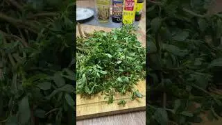 Амарант "Конские зубы". Портулак - вкусный, полезный овощ.