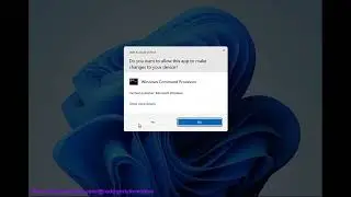 Fix Application error 0xc00000e5 on Windows