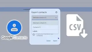 How to Export Gmail Contacts to CSV in SECONDS!