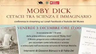 Moby Dick - Cetacei tra scienza ed immaginario